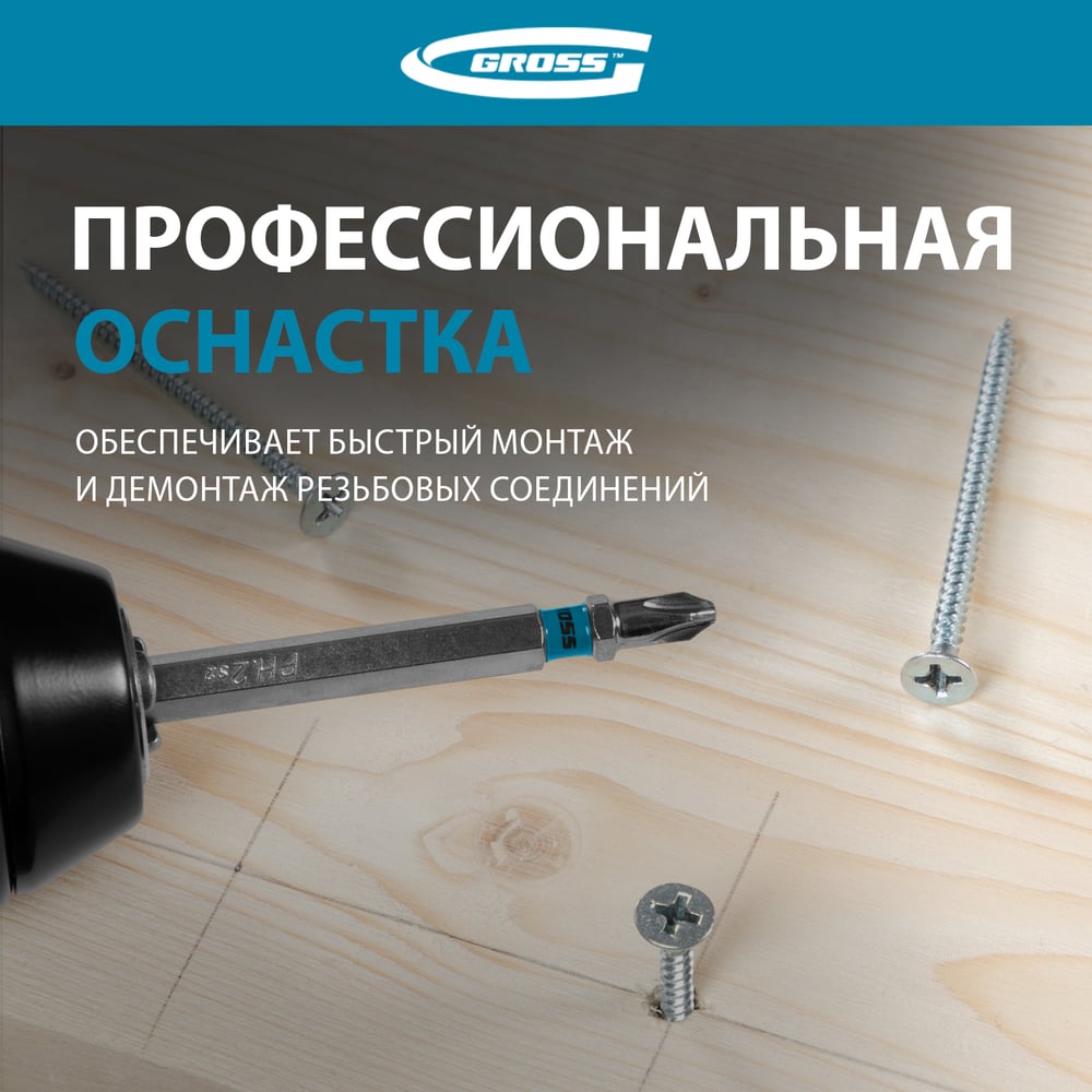 Набор бит РН2х70, сталь S2, 10шт GROSS 11378