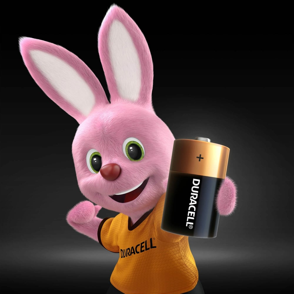 Батарейки щелочные Duracell Basic D/LR20 2 шт. блистер Б0014055 RPL00568