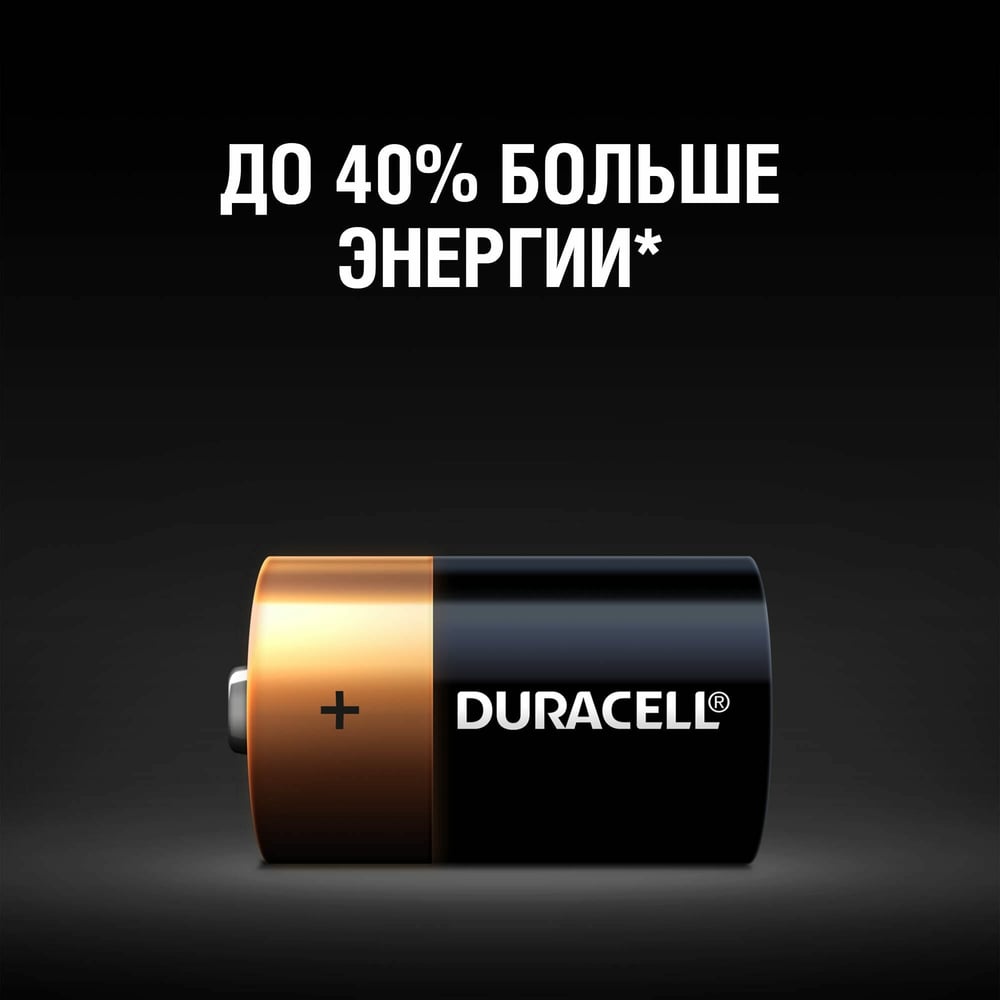Батарейки щелочные Duracell Basic D/LR20 2 шт. блистер Б0014055 RPL00568