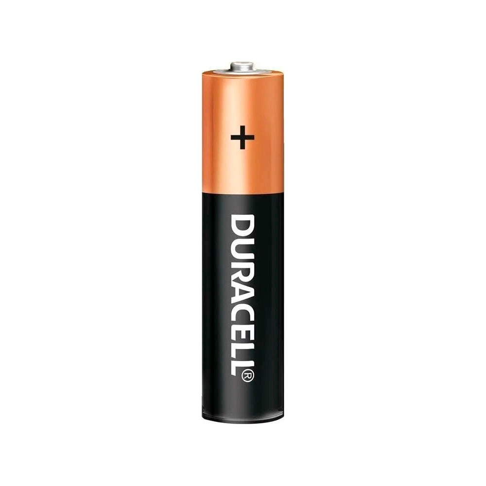 Батарейки Duracell 5011646 LR03/2BL, BASIC, 2х10 (20/240/33600) Б0051816