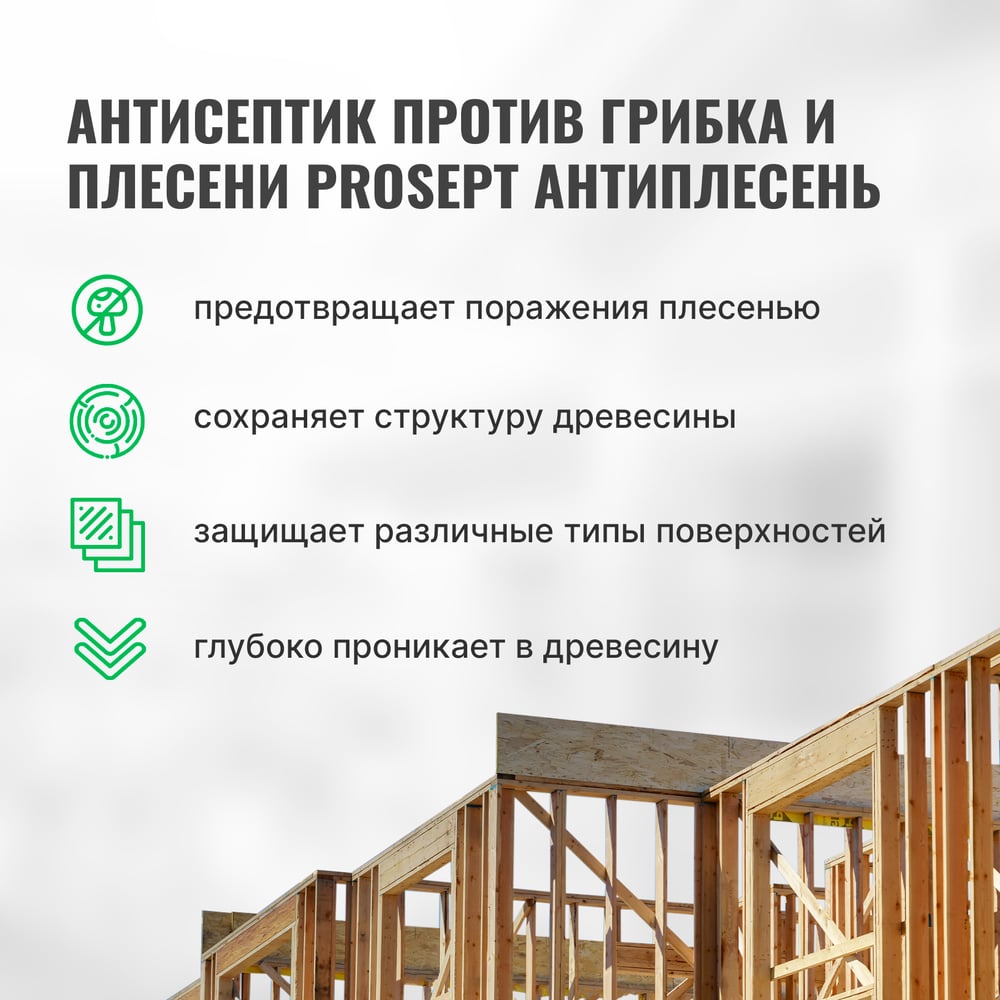 Универсальный антисептик против грибка и плесени PROSEPT АНТИПЛЕСЕНЬ 5 л 025-5