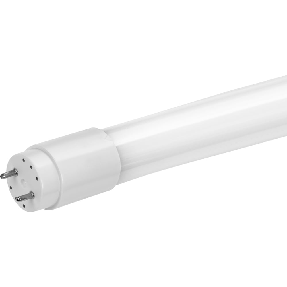 Светодиодная лампа TDM ELECTRIC НЛ-Т8-10 Вт-230 В-6500 К–G13, 600 мм, матовая, стекло, с неповоротным цоколем Народная SQ0340-1502