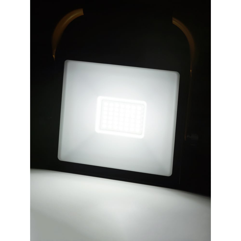 Светодиодный прожектор TDM ELECTRIC сдо-04-050н-п (переносной) 50 вт, 6500 к, ip65, черный, народный SQ0336-0201