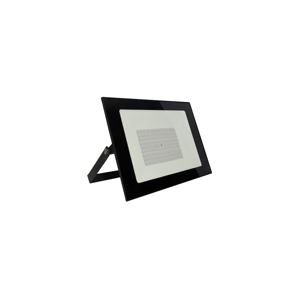 Светодиодный (LED) прожектор Smartbuy FL SMD LIGHT -100W/6500K/IP65 SBL-FLLIGHT-100-65