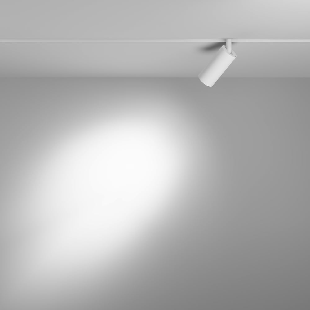 Трековый светильник MAYTONI focus led exility 3000-6000k 5вт 24 dim smart TR032-4-5W3K-S-DS-W