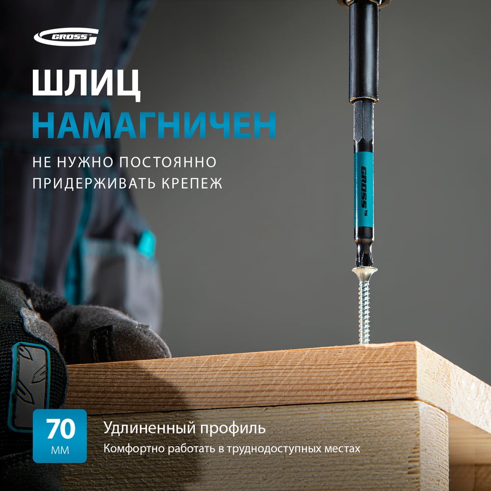 Набор бит (Ph2; 70 мм, сталь S2) 10 шт. GROSS 11262