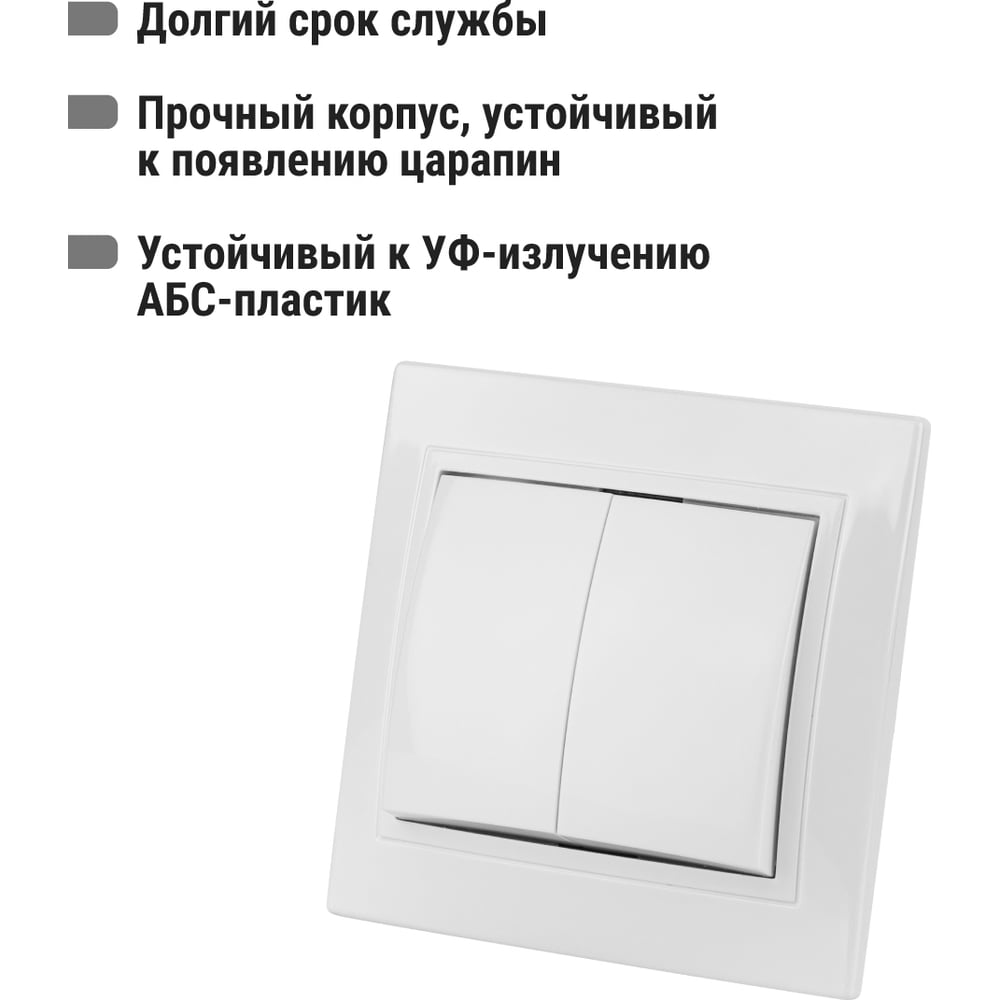 Двухклавишный выключатель TDM ELECTRIC 10А белый Таймыр SQ1814-0002